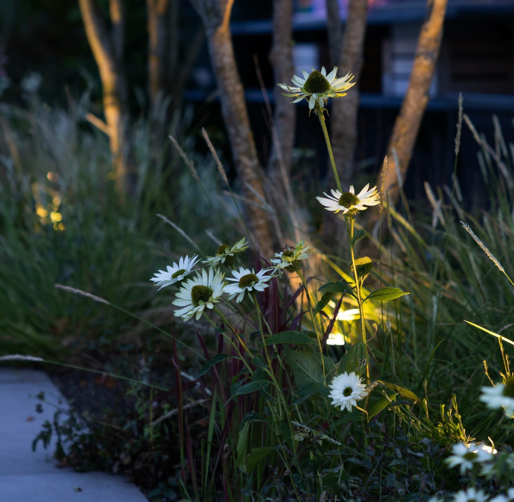 Föreläsning med tvårätters middag - hållbara trädgårdar och ljusets magi i trädgården